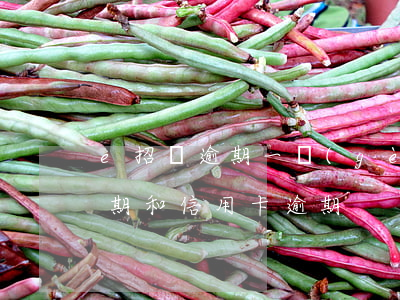 e招貸逾期一個(gè)月有事嗎（e招貸逾期和信用卡逾期）