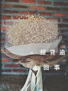 e招貸逾期一直有還款(e招貸還款失敗是怎么回事)