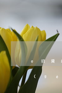 e招貸逾期信用卡能不能用(e招貸逾期一個(gè)月有事嗎)