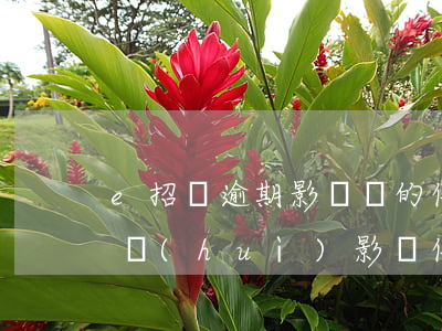 e招貸逾期影響別的信用卡嗎-e招貸逾期會(huì)影響信用卡使用嗎