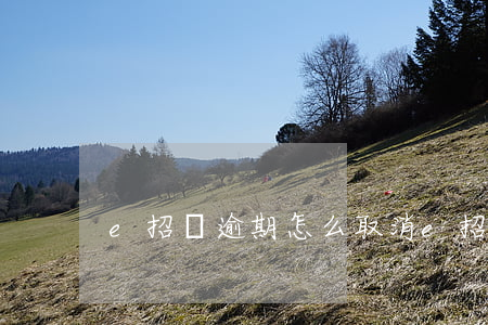 e招貸逾期怎么取消(e招貸怎么取消訂單)