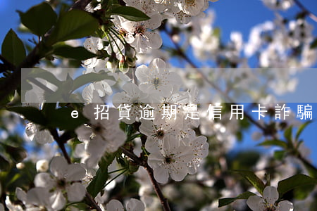 e招貸逾期是信用卡詐騙(e招貸騙局)