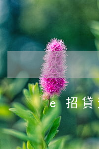 e招貸逾期最低還款(e招貸晚了4天還款)