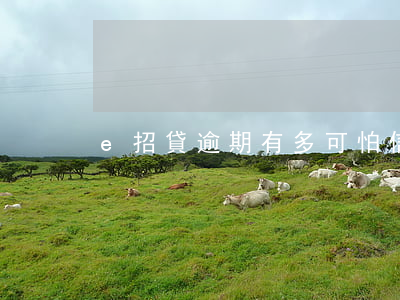 e招貸逾期有多可怕（信用卡逾期e招貸案例）