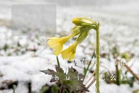 e招貸逾期有影響嗎（信用卡e招貸逾期半年會(huì)怎么樣）