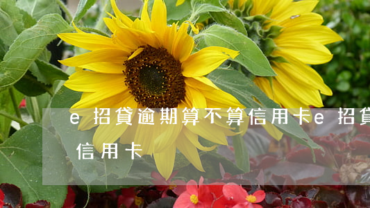 e招貸逾期算不算信用卡(e招貸逾期算不算信用卡)