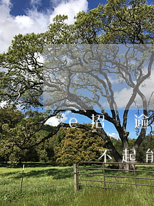 e招貸逾期能協(xié)商還款嗎(e招貸還不起能協(xié)商分期嗎)