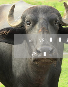 e招貸還款了還顯示逾期(e招貸還款后顯示未還)