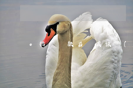 e招貸還款后額度恢復(fù)到信用卡-