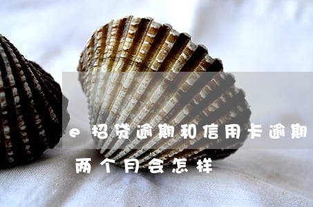 e招贷逾期和信用卡逾期一个月(e招贷逾期两个月会怎样)