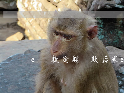 e貸款逾期還款后果(e招貸逾期5天后果)