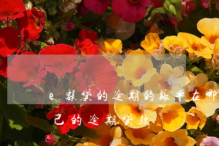 e额贷的逾期的账单在哪里查询(如何查询自己的逾期贷款)