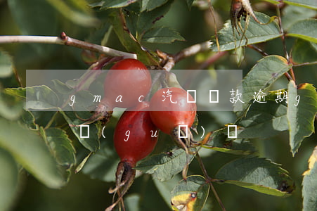 gmac汽車貸款逾期(gmac上汽金融正規(guī)嗎)