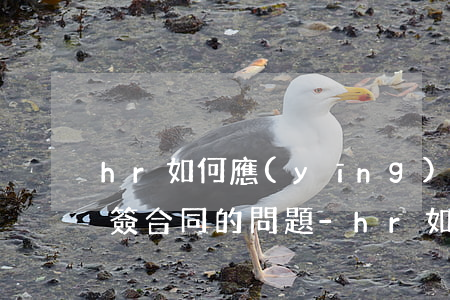hr如何應(yīng)對(duì)逾期簽合同的問題-hr如何應(yīng)對(duì)逾期簽合同的問題呢