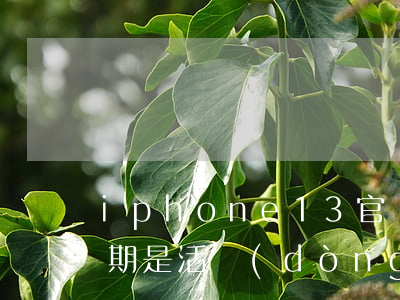 iphone13官網(wǎng)免息分期是活動(dòng)嗎-蘋(píng)果官網(wǎng)13免息