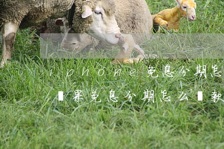 iphone免息分期怎么改為12個月-蘋果免息分期怎么還款