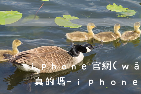 iphone官網(wǎng)免息分期是真的嗎-iphone官網(wǎng)免息分期是真的嗎安全嗎