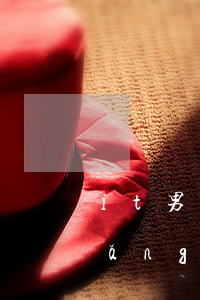 it男子欠百萬網(wǎng)貸(欠網(wǎng)貸一百多萬)