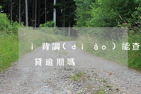 i背調(diào)能查出網(wǎng)貸逾期嗎