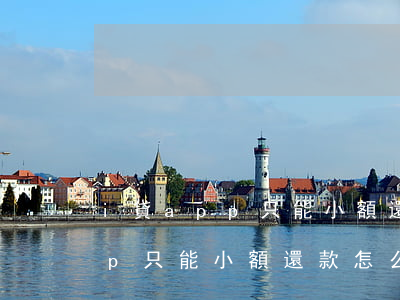 i貸app只能小額還款怎么辦-i貸app只能小額還款怎么辦啊