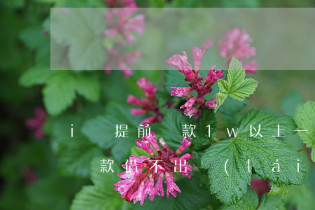 i貸提前還款1w以上一直失敗-i貸提前還款借不出來(lái)