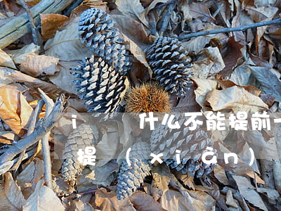 i貸為什么不能提前一次性還款-i貸不能提現(xiàn)