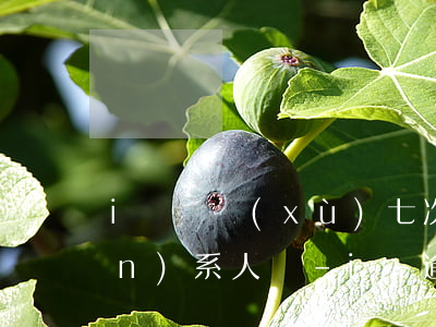 i貸連續(xù)七次逾期會打聯(lián)系人嗎-i貸逾期2年又開始催收