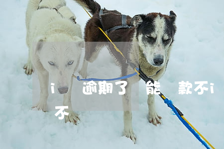 i貸逾期了還能貸款不(i貸逾期了還能貸款不)