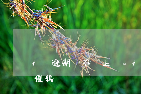 i貸逾期會不會上門-i貸逾期2年又開始催收