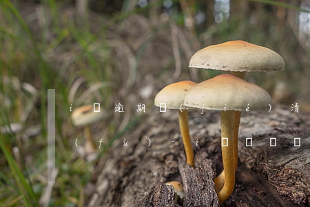 i貸逾期結(jié)清后額度能不能恢復(fù)-i貸沒還會怎么樣