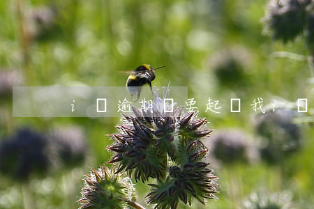i貸逾期說要起訴我(i貸逾期說要起訴我)