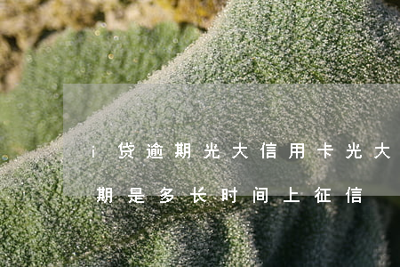 i贷逾期光大信用卡(光大的信用卡逾期宽限期是多长时间上征信)