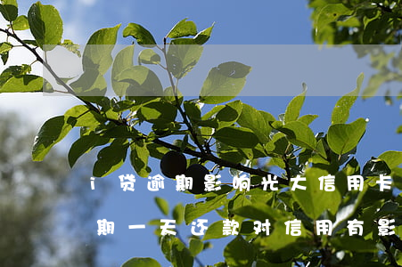 i贷逾期影响光大信用卡吗(光大银行贷款逾期一天还款对信用有影响吗)