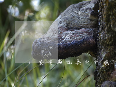 i贷逾期说要起诉我(i贷逾期说要起诉我)