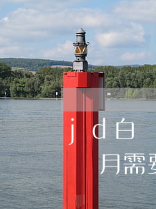 jd白條逾期還款會怎樣(jd白條分期第一個月需要還嗎)