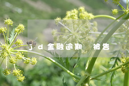 jd金融逾期會被告嗎