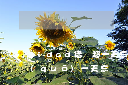 jidad借唄超一天忘記還款-借唄超過(guò)一天忘記還了