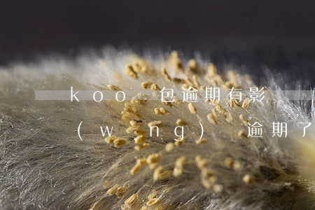 koo錢包逾期有影響嗎（我在koo錢包網(wǎng)貸逾期了）