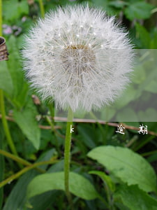 k貸逾期了怎么還款(k貸逾期了怎么還款)