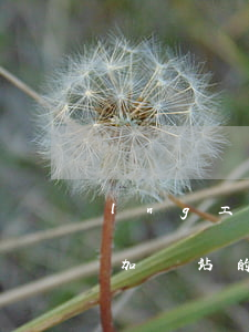 lng工廠的法律法規(guī)(lng加氣站的建設(shè)條件手續(xù)都有什么)