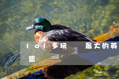lol多玩論壇(最大的英雄聯(lián)盟論壇)