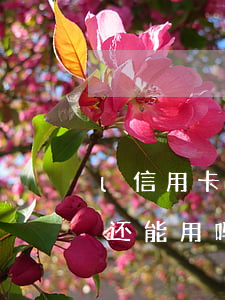 l信用卡逾期还点进去 逾期的信用卡还进去还能用吗