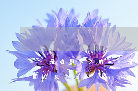 m6是逾期多久的（m6是逾期時(shí)間多長(zhǎng)）