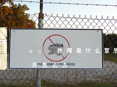 mcn传媒是什么意思（工商信用卡逾期七个月怎么办）