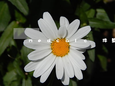 medcalc軟件算逾期偏移-