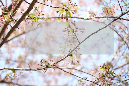 minitab公司发律师函(minitab公司发律师函怎么处理)
