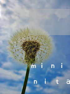 minitab是哪個(gè)公司的(minitab是哪個(gè)公司的)