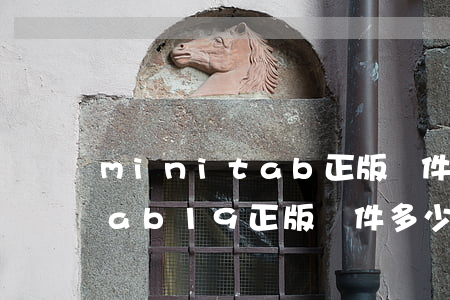 minitab正版軟件多少錢(minitab19正版軟件多少錢)