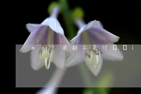 mo9逾期上支付寶負(fù)面嗎