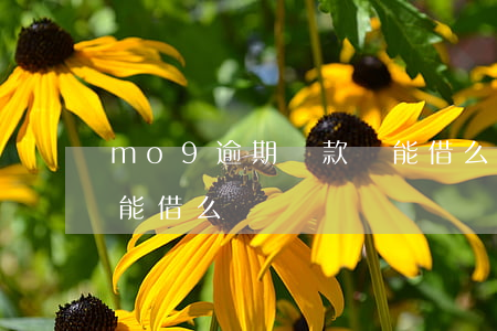 mo9逾期還款還能借么(mo9逾期還款還能借么)